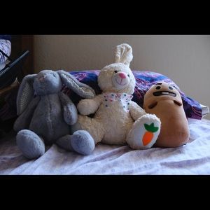 Meet your Posher, Lawrence